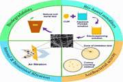 	Investigation of Multifunctionality of Electrospun Poly(vinyl alcohol) Nanofiber Membranes Incorporating Boric Acid and Nanoencapsulated Curcumin: Filtration Performance, Antibacterial Activity, and Environmental Impact