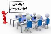 کارگاه تئوری استفاده از تکنیک‌های پزشکی بازساختی در بازسازی لیمبوس