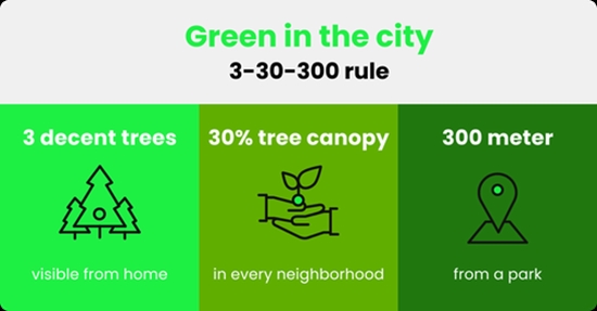 The importance of green spaces in reducing the effects of environmental risk factors.  